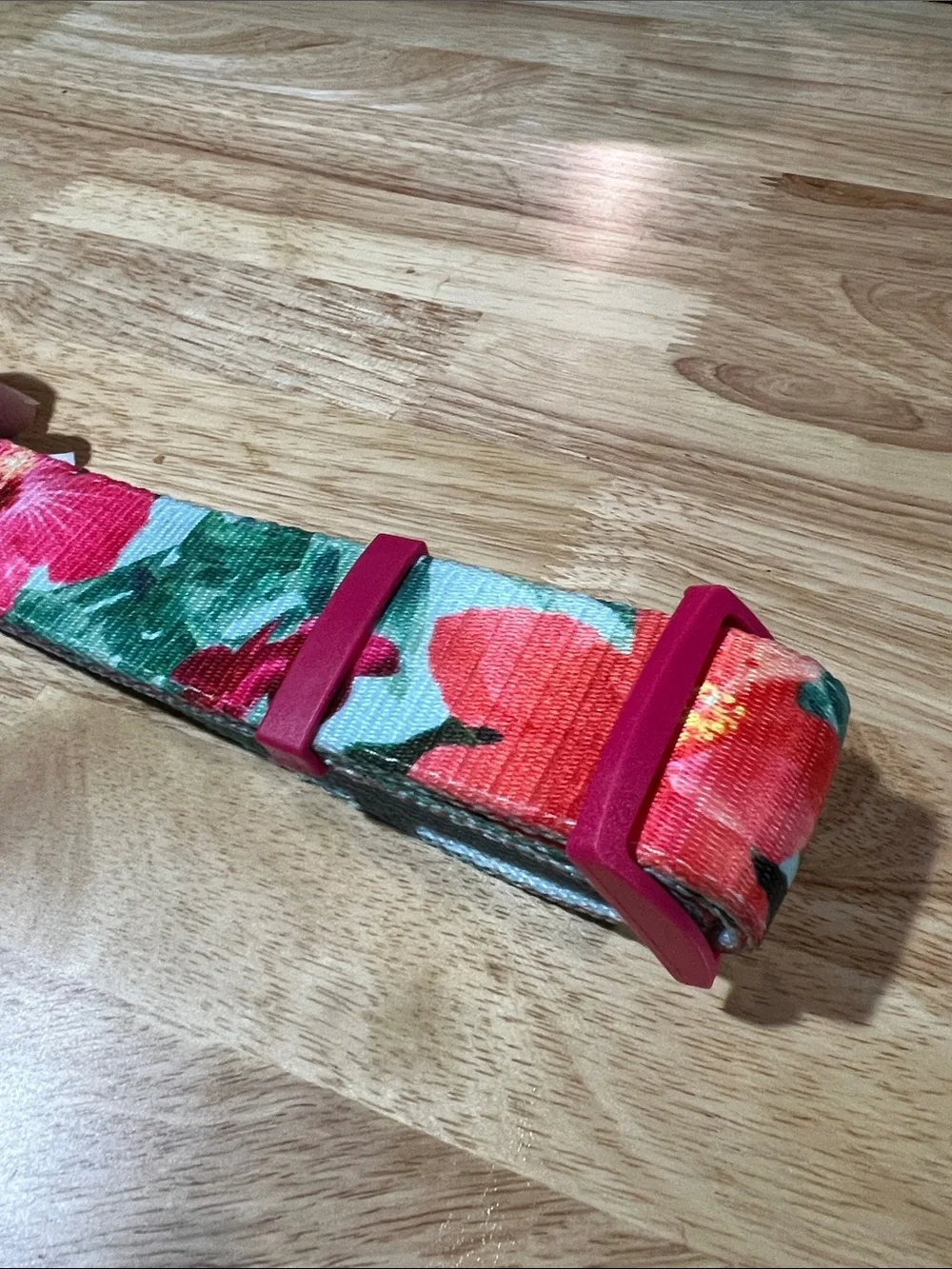 Good2Go Floral Large Dog Collar - XXL-XXXL 90-140lbs 27-38” neck z97